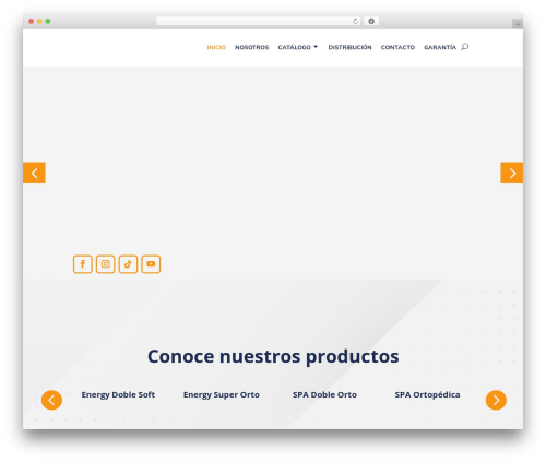 Divi form builder WordPress plugin - camasfacenco.com