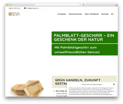 Theme WordPress Divi - palmblatt.ch