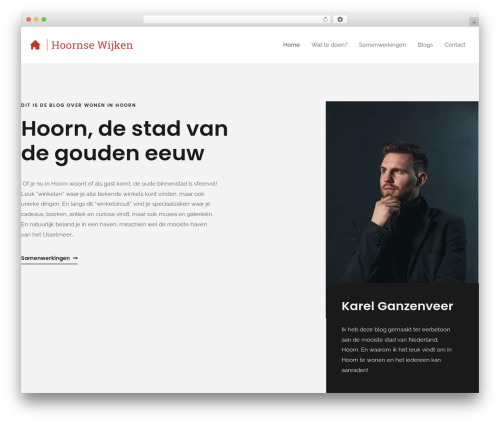 Publication rest plugin WordPress plugin - hoornsewijken.nl