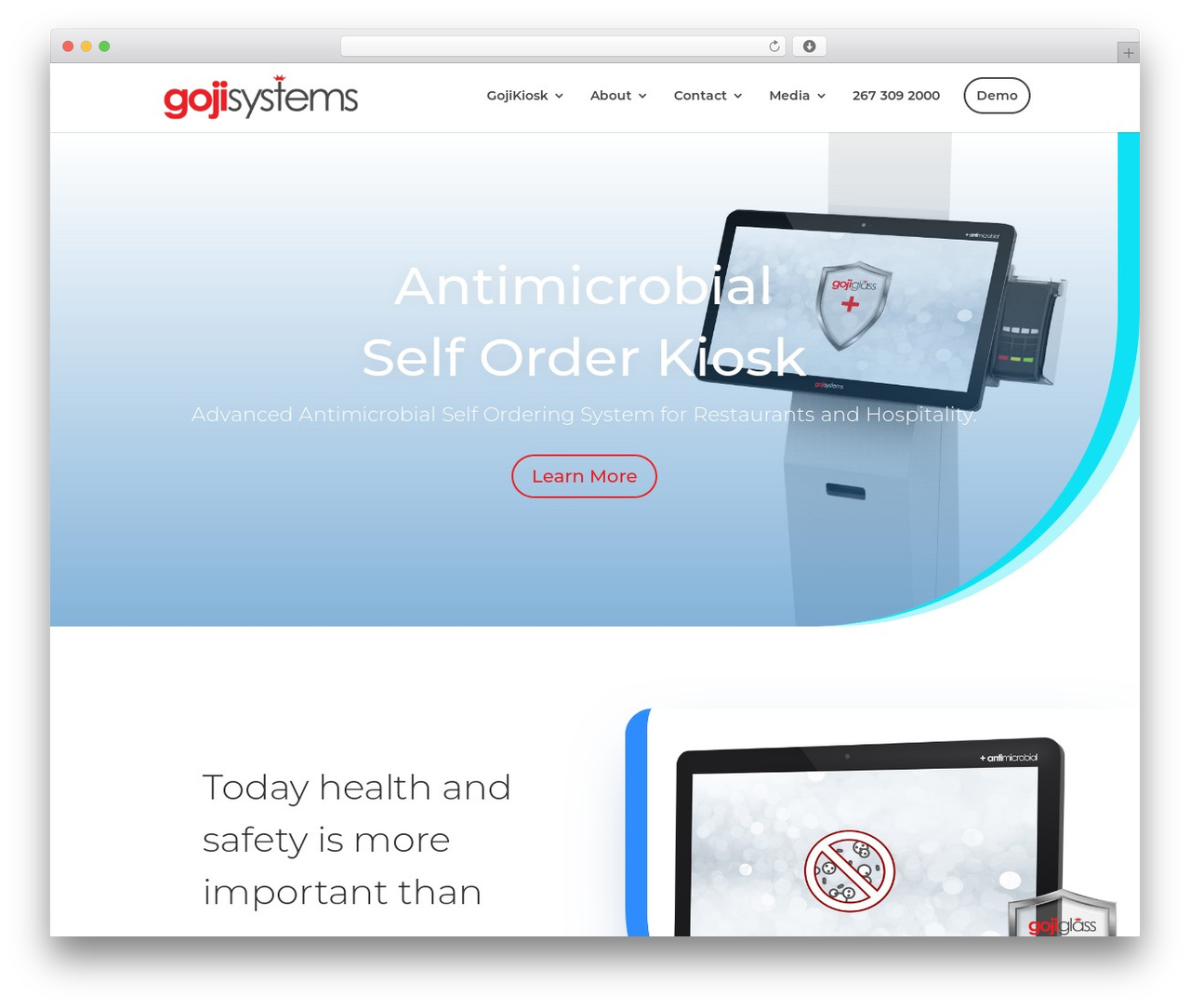 WordPress theme Divi - gojisystems.com WordPress theme Divi - gojisystems.com
