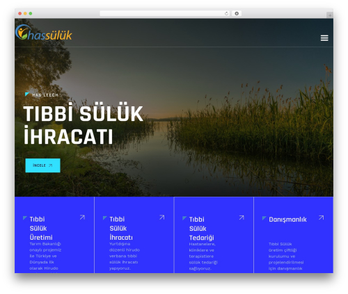 WordPress theme LabtechCO - hassuluk.com