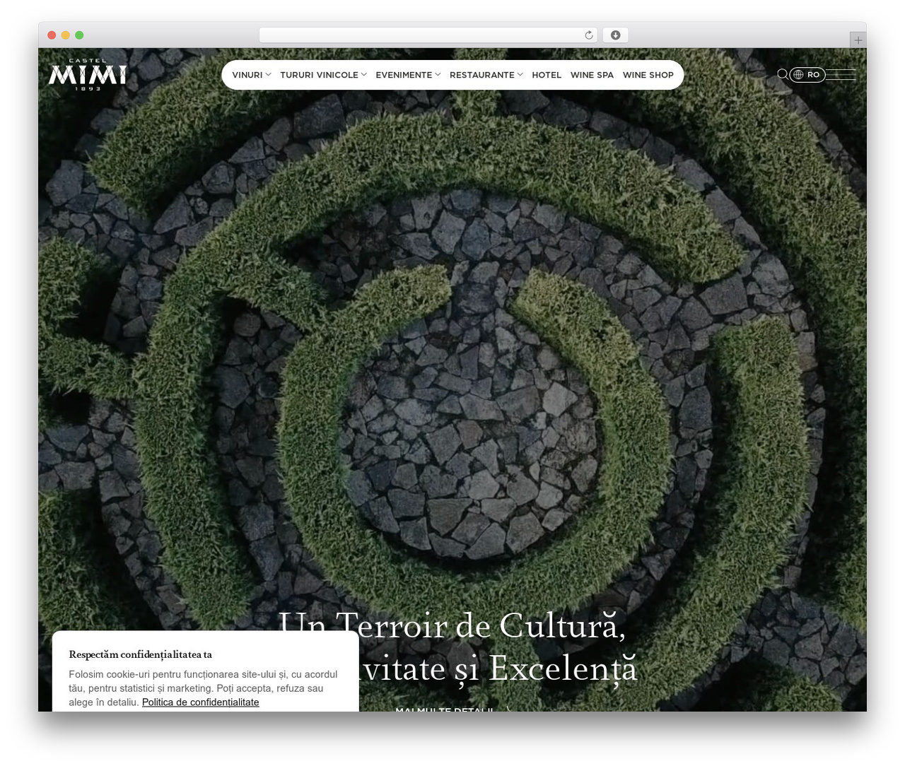 WP theme Castel Mimi - castelmimi.md