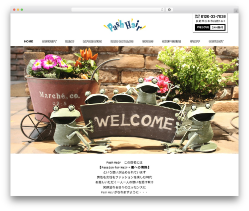 Best WordPress theme Themify Basic - pash-hair.com