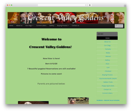 WordPress Simple Ecommerce Shopping Cart Plugin- Sell products through Paypal (simple-e-commerce-shopping-cart) free WordPress plugin - crescentvalleygoldens.com WordPress Simple Ecommerce Shopping Cart Plugin- Sell products through Paypal (simple-e-commerce-shopping-cart) free WordPress plugin - crescentvalleygoldens.com