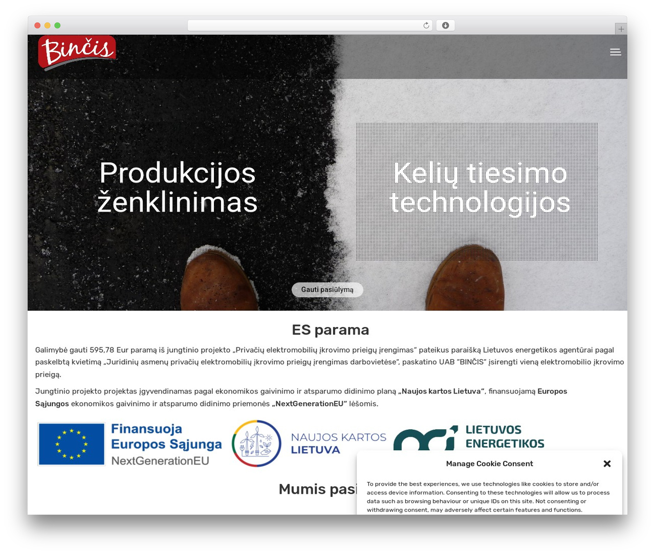 Farvis WordPress theme design - bincis.lt