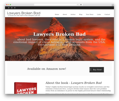 Lawyers best WordPress theme - lawyersbrokenbad.com