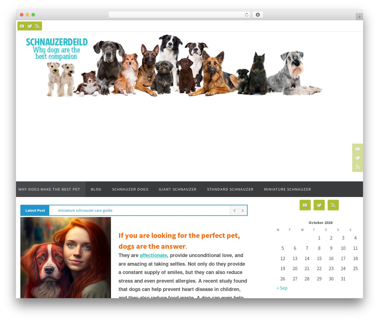 Nirvana theme WordPress - schnauzerdeild.com Nirvana theme WordPress - schnauzerdeild.com