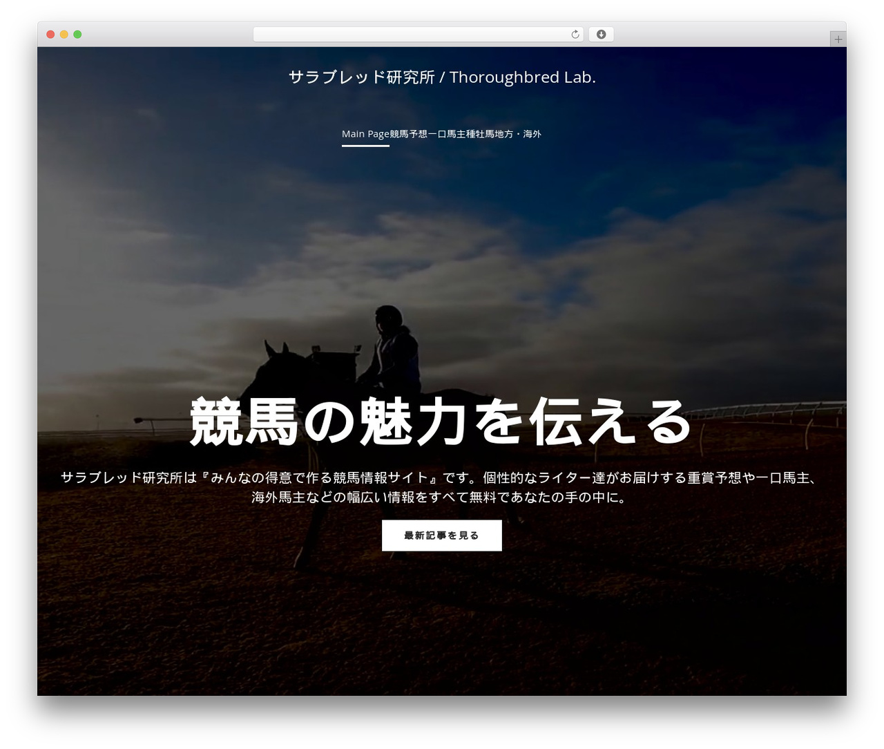 WordPress theme Elevate WP - sarala6.com