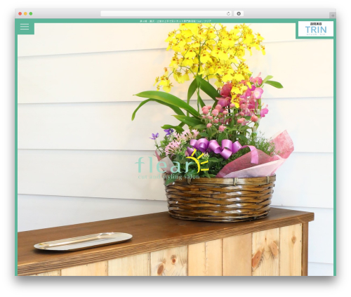WordPress theme Pop - flear-salon.com
