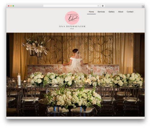 Cv monitor WordPress plugin - tinadevents.com