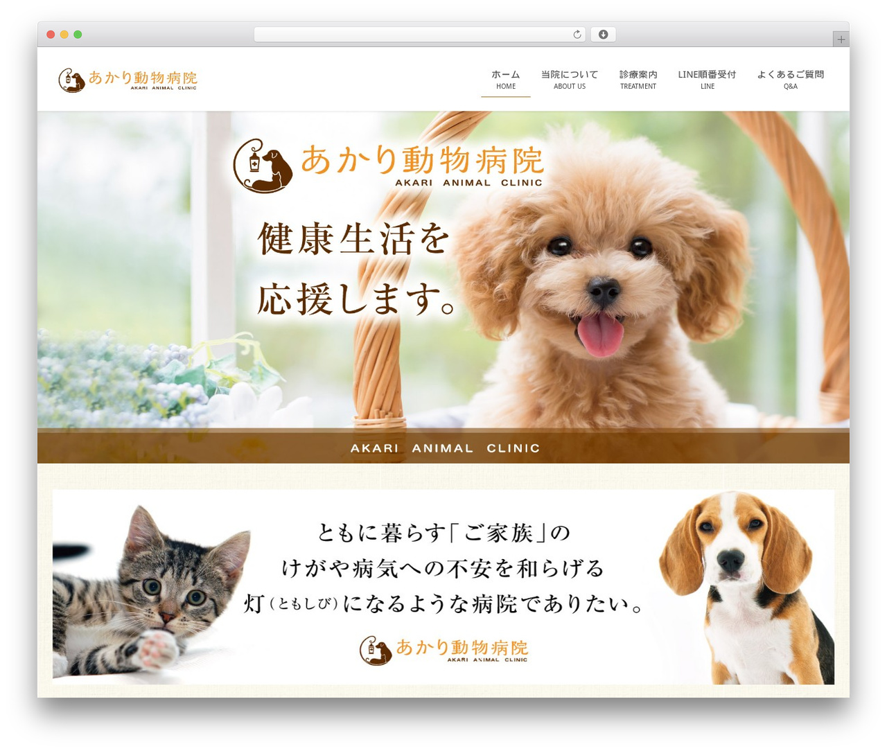 Lightning WordPress website theme - akari-animal-clinic.com