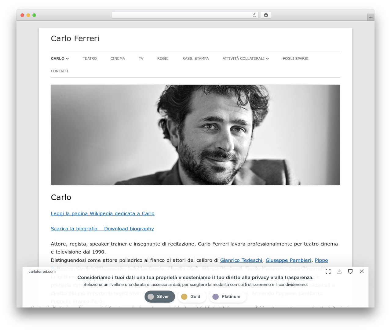 Tiny Framework best free WordPress theme - carloferreri.com