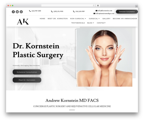 WordPress theme Divi - kornstein.com