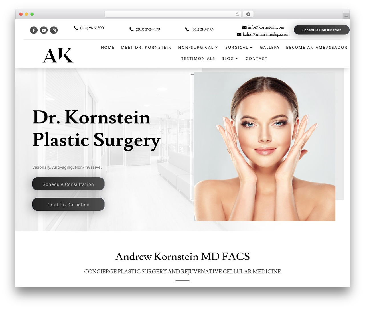 WordPress theme NKP - kornstein.com WordPress theme NKP - kornstein.com