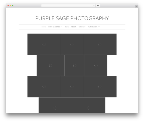 Widget Manager Light (widget-manager-light) free WordPress plugin - purplesagephotography.net Widget Manager Light (widget-manager-light) free WordPress plugin - purplesagephotography.net