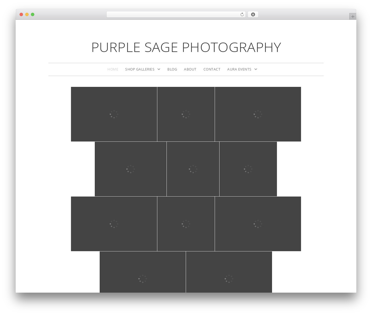 WordPress theme Imagely - purplesagephotography.net WordPress theme Imagely - purplesagephotography.net