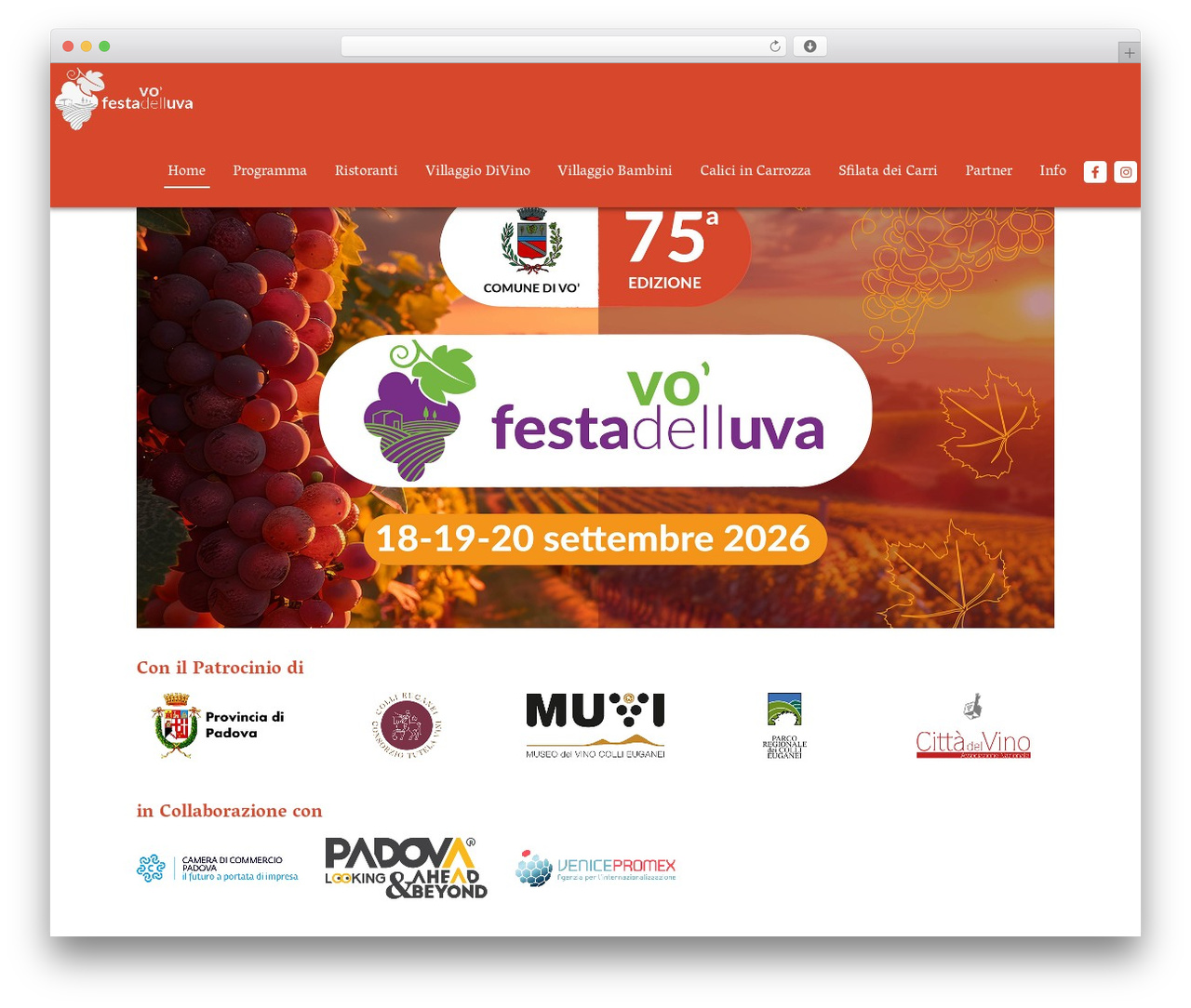 WordPress theme Skeleton - festadelluvadivo.it