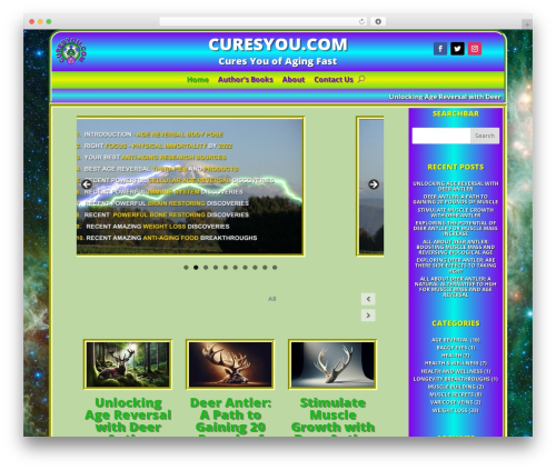 Aiwisemind helper WordPress plugin - curesyou.com