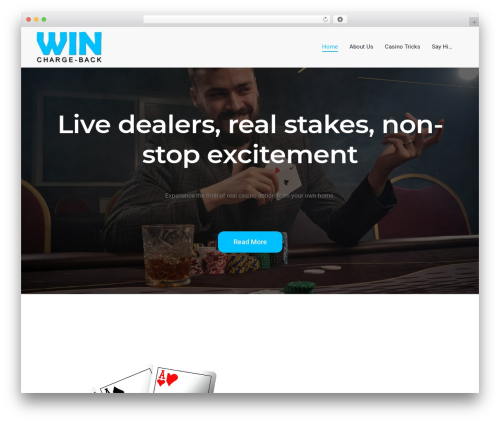Spice Software WordPress theme - winchargeback.com