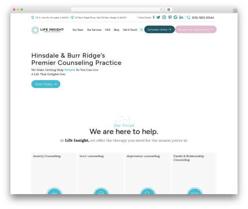 Ow editorial comments WordPress plugin - life-insight.com