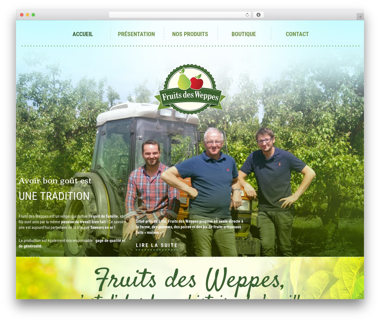 Cherry Framework WordPress theme - fruitsdesweppes.com Cherry Framework WordPress theme - fruitsdesweppes.com
