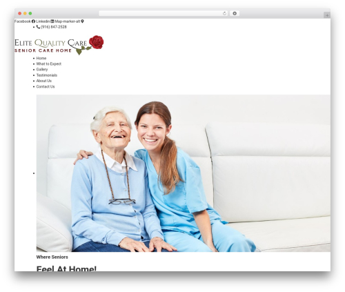 SANDWICH THEME WordPress theme - elitequalitycareroseville.com