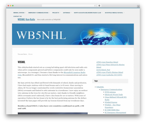 Unique theme WordPress - oldcyberdude.com