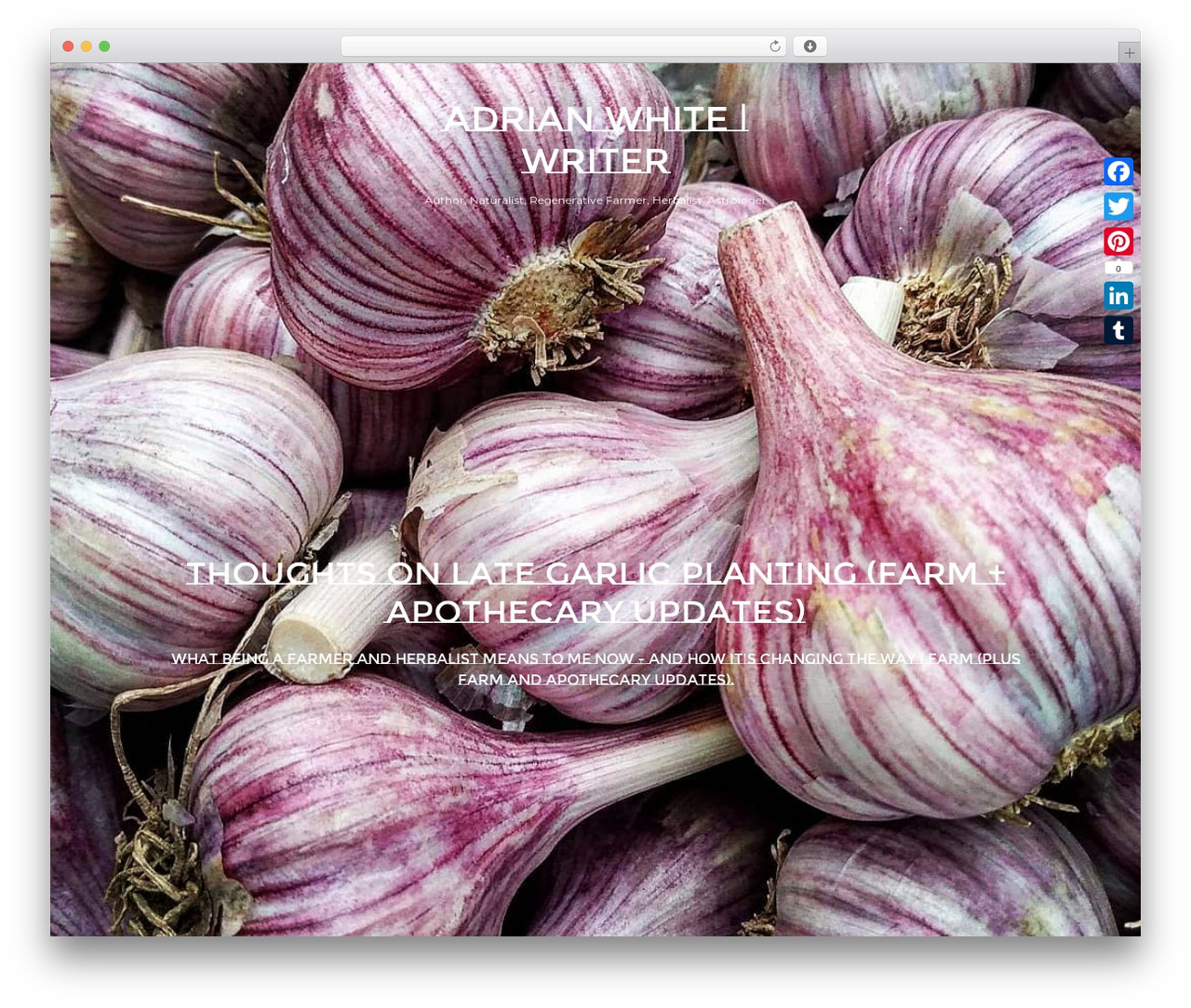 WordPress theme Pixgraphy - iowaherbalist.com