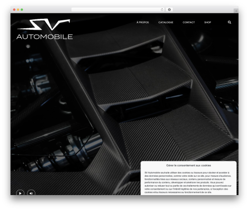 Lezardscreation WordPress plugin - svautomobile.fr