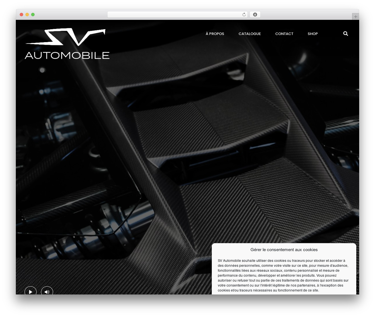 WordPress theme Lezards Création - svautomobile.fr WordPress theme Lezards Création - svautomobile.fr