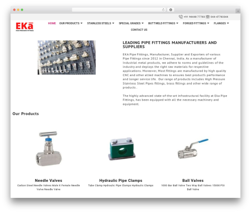 Big Store WordPress theme - ekapipefittings.com