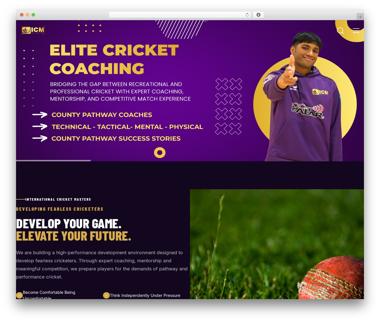 Spin WP theme - cricketmasters.co.uk