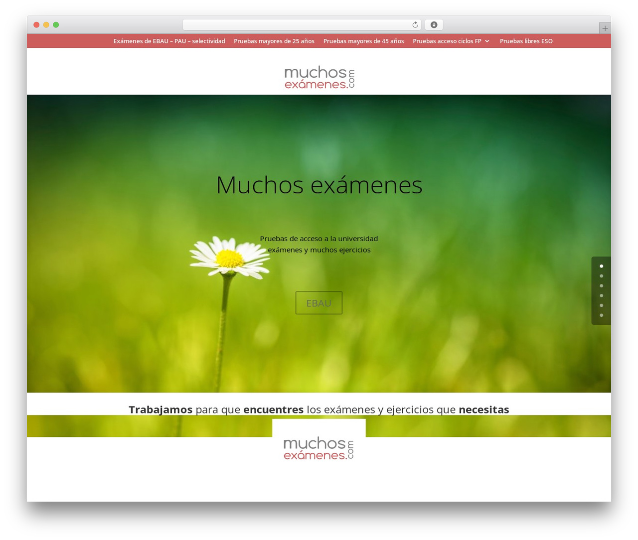 WordPress theme Divi - muchosexamenes.com WordPress theme Divi - muchosexamenes.com