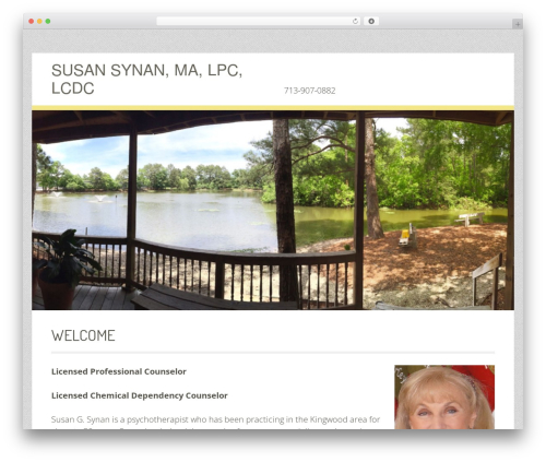 WordPress theme Geiseric - susansynan.com