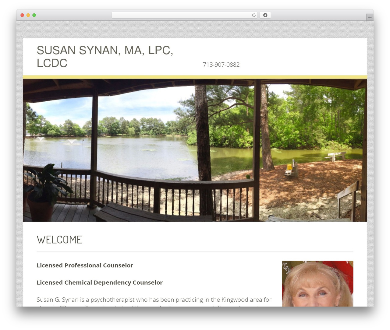 WordPress theme Geiseric - susansynan.com WordPress theme Geiseric - susansynan.com