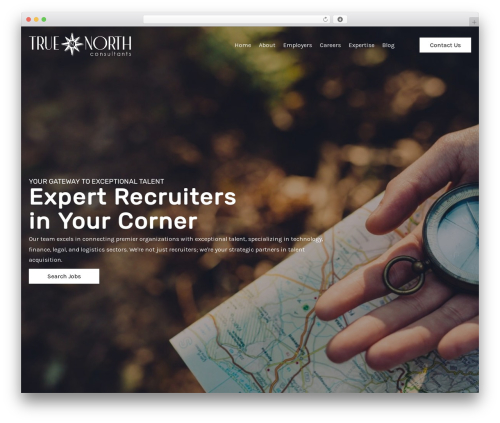 Beaver Builder Theme WordPress theme - truenorthconsultants.com