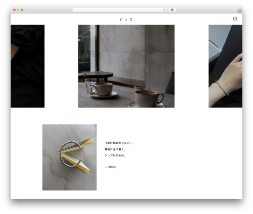 Mts simple booking c WordPress plugin - fig-j.com