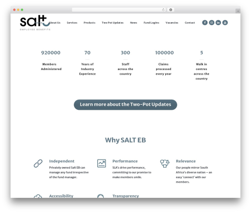 Bridge WordPress theme - salteb.co.za