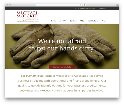 Divi WordPress theme - moecker.com