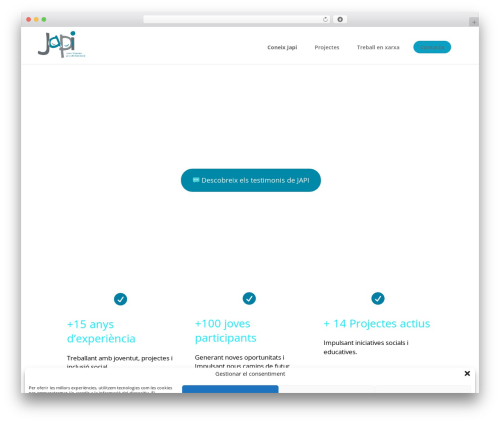 Divi WordPress theme - japi.cat