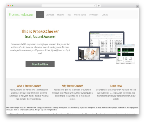 Lightning Monkey WordPress theme - processchecker.com
