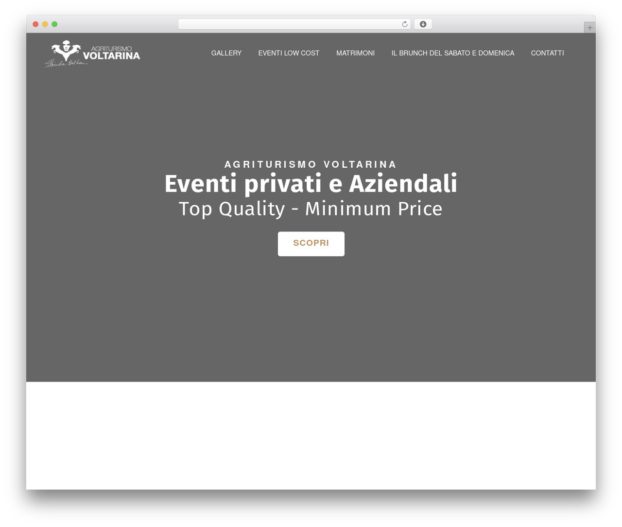 Theme WordPress Hello Elementor - voltarina.com