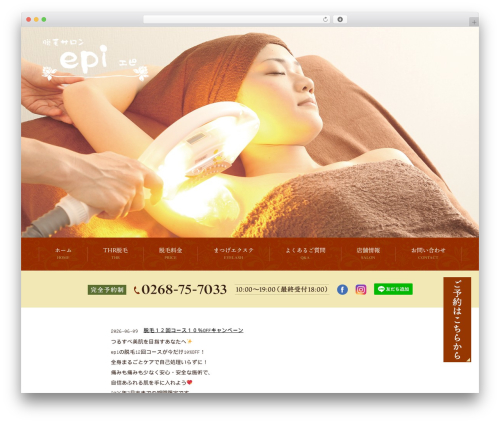 Custom article WordPress plugin - salon-epi.net