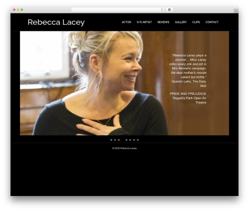 Pizazzwp libs WordPress plugin - rebeccalacey.co.uk