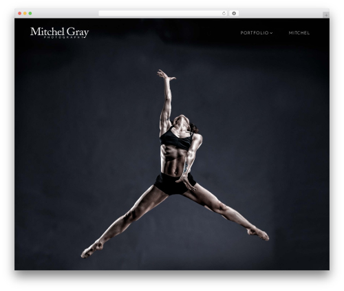 Dms plugin pro WordPress plugin - mitchelgray.com