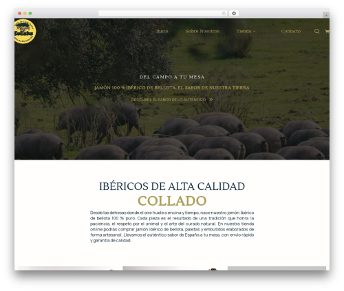 Free Shipping Label (free-shipping-label) free WordPress plugin - jamonesyembutidosibericos.com