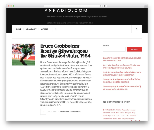 JustWrite WordPress page theme - ankadio.com