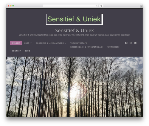 Radcliffe 2 theme WordPress - sensitiefenuniek.com