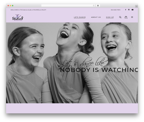 Arabesque core WordPress plugin - studio8performingarts.com
