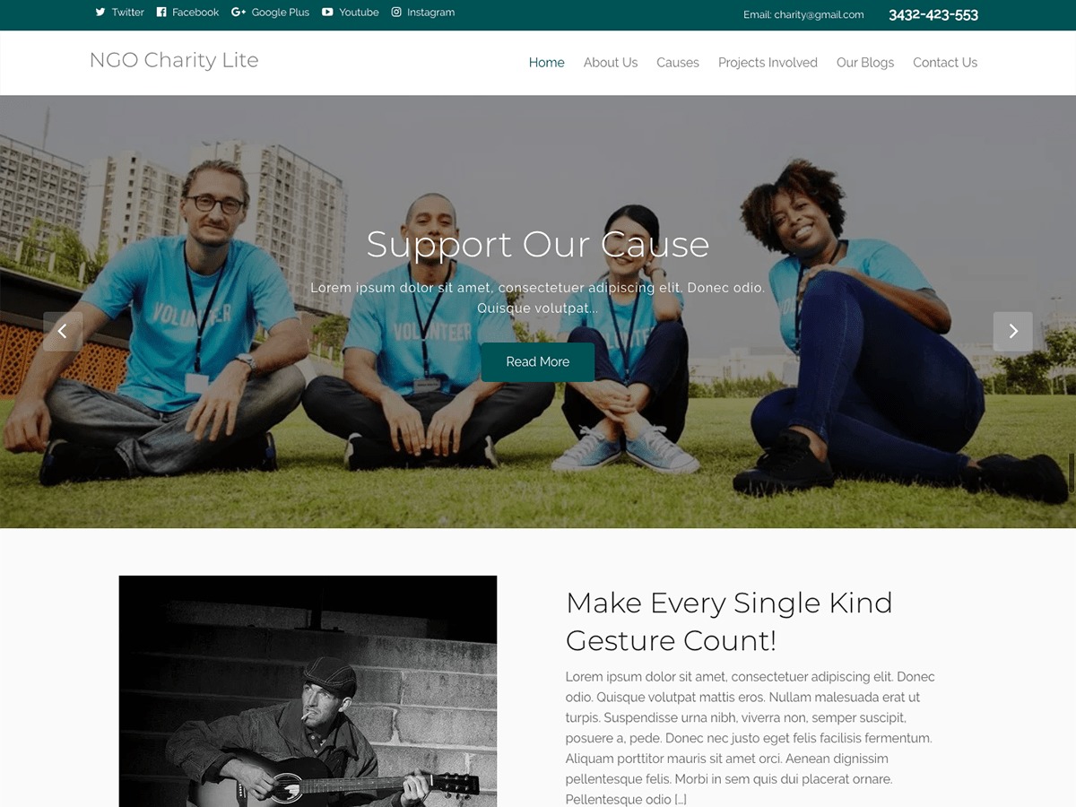 WordPress theme NGO Charity Lite